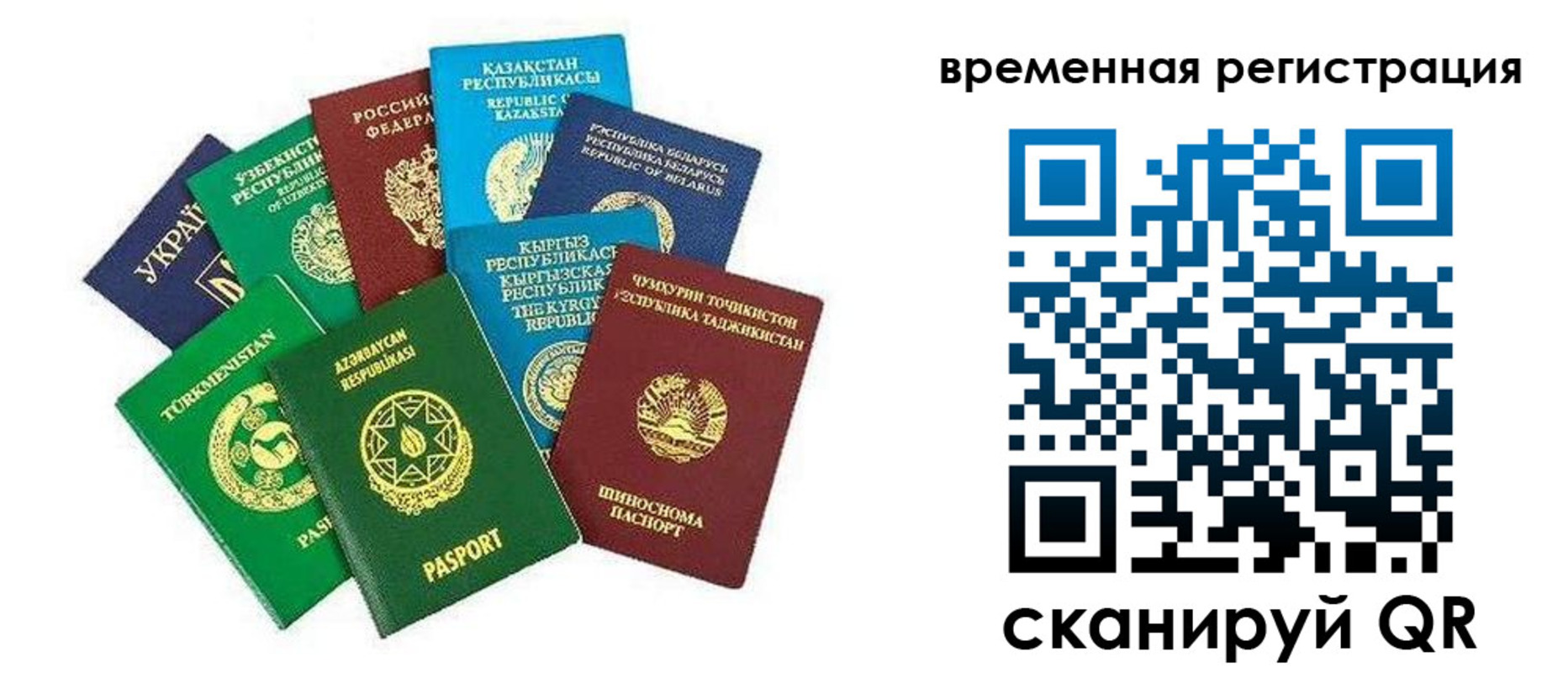 прописка законно в Волгограде